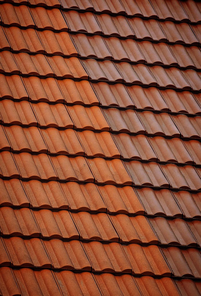 Detailed view of red clay roof tiles forming a repetitive pattern in warm sunlight.